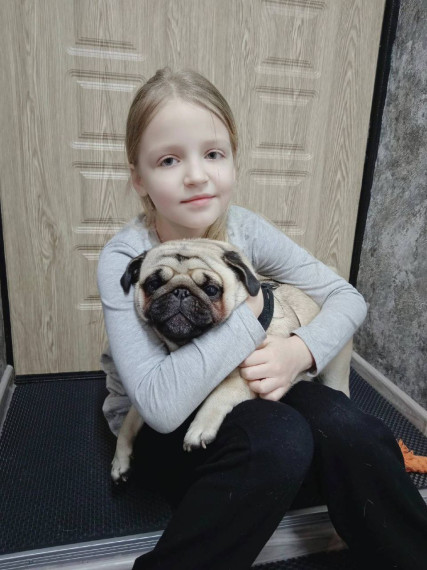 «Мое домашнее животное».