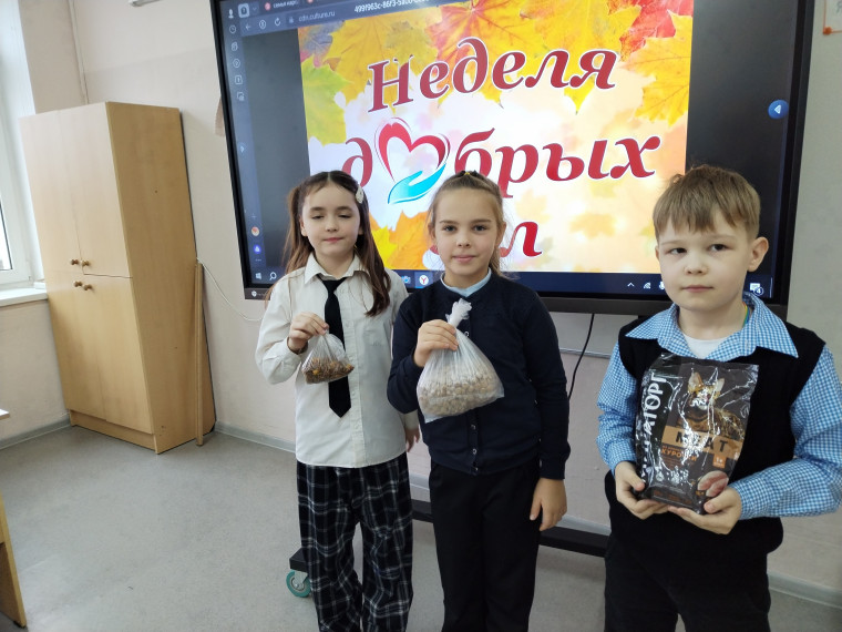 «Осенняя неделя добра».